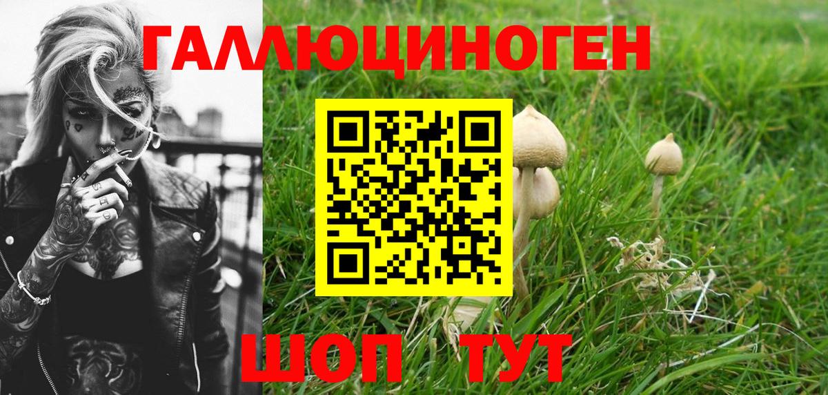 Галлюциногенные грибы Psilocybe  Вход с VPN  Псилоцибиновые грибы Magic Shrooms  Дятьково 